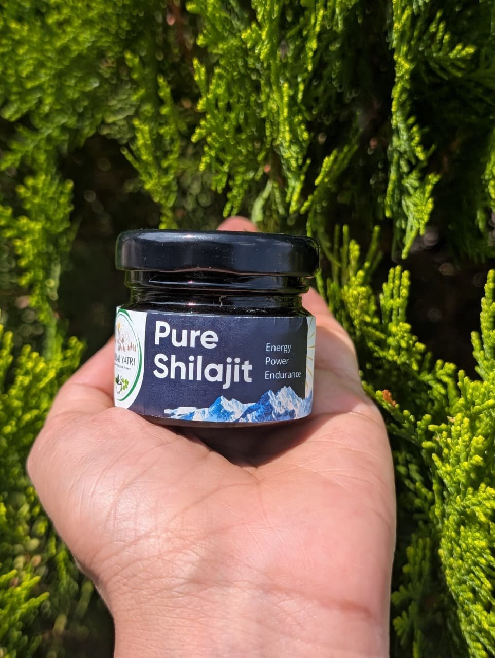 Pure Shilajit